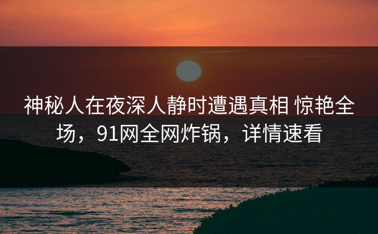 神秘人在夜深人静时遭遇真相 惊艳全场,91网全网炸锅,详情速看 神秘人在夜深人静时遭遇真相 惊艳全场,91网全网炸锅,详情速看