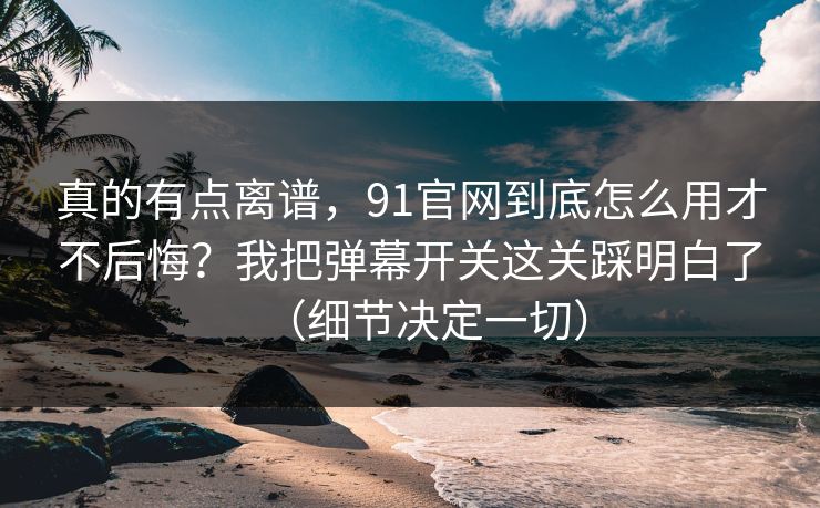 真的有点离谱，91官网到底怎么用才不后悔？我把弹幕开关这关踩明白了（细节决定一切）