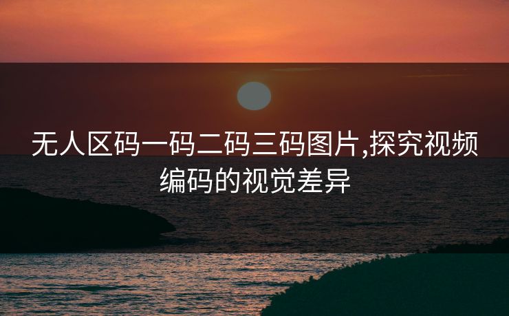 无人区码一码二码三码图片,探究视频编码的视觉差异