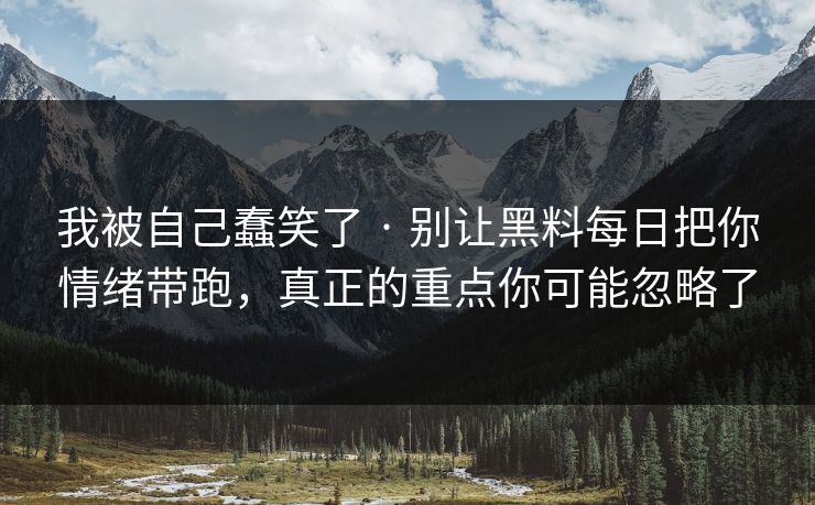 我被自己蠢笑了 · 别让黑料每日把你情绪带跑，真正的重点你可能忽略了